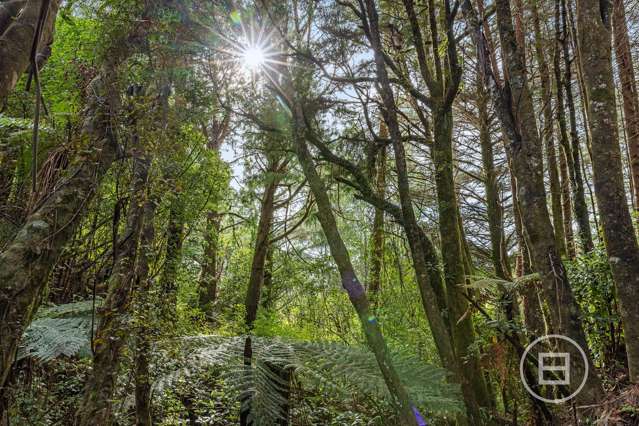 Rutherglen Road Marsden_4