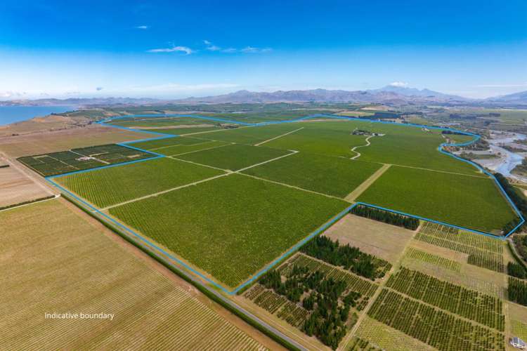 1 Wairau Plains Renwick_10