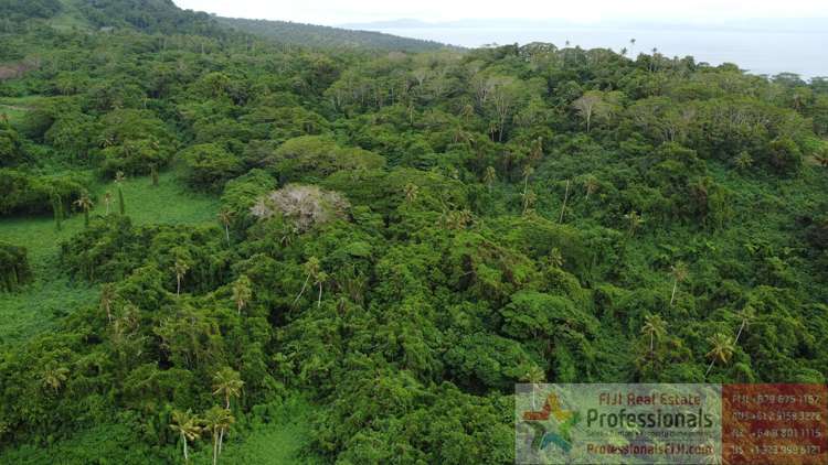 Address withheld Taveuni_23