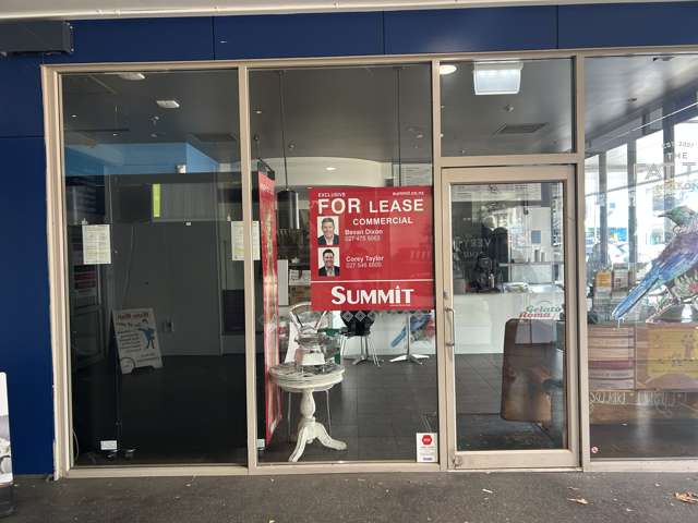 219 Trafalgar Street Nelson_1