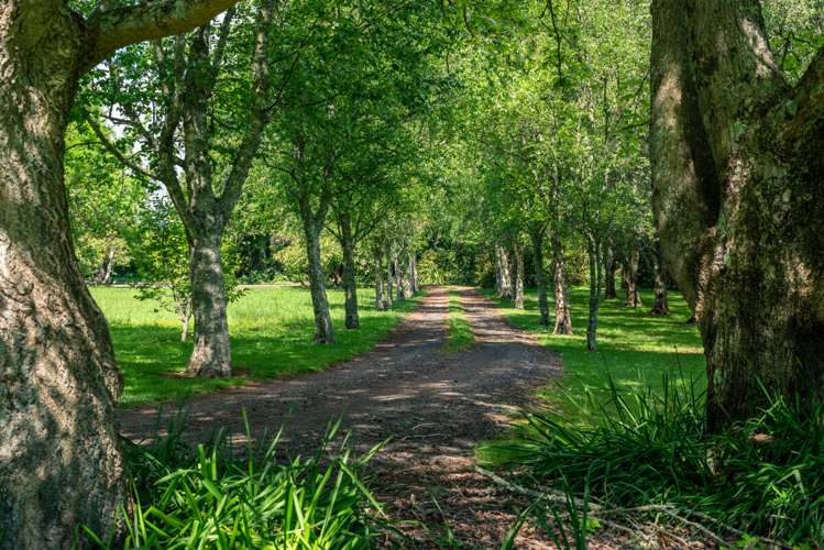 58 Mcmillan Road Hauraki Surrounds_23