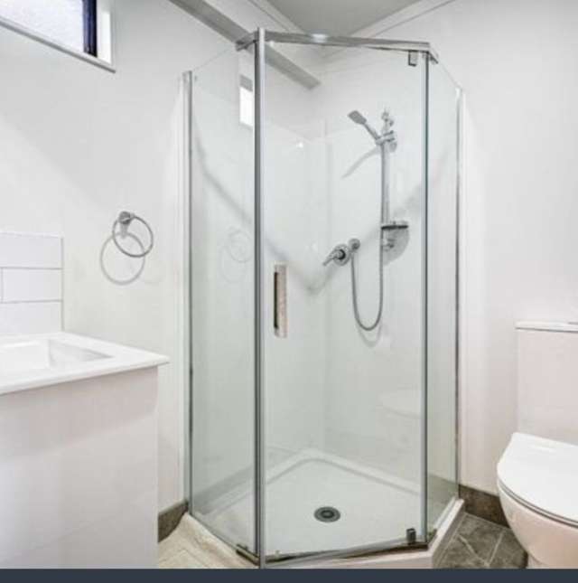 29B Ellis Avenue Mount Roskill_3