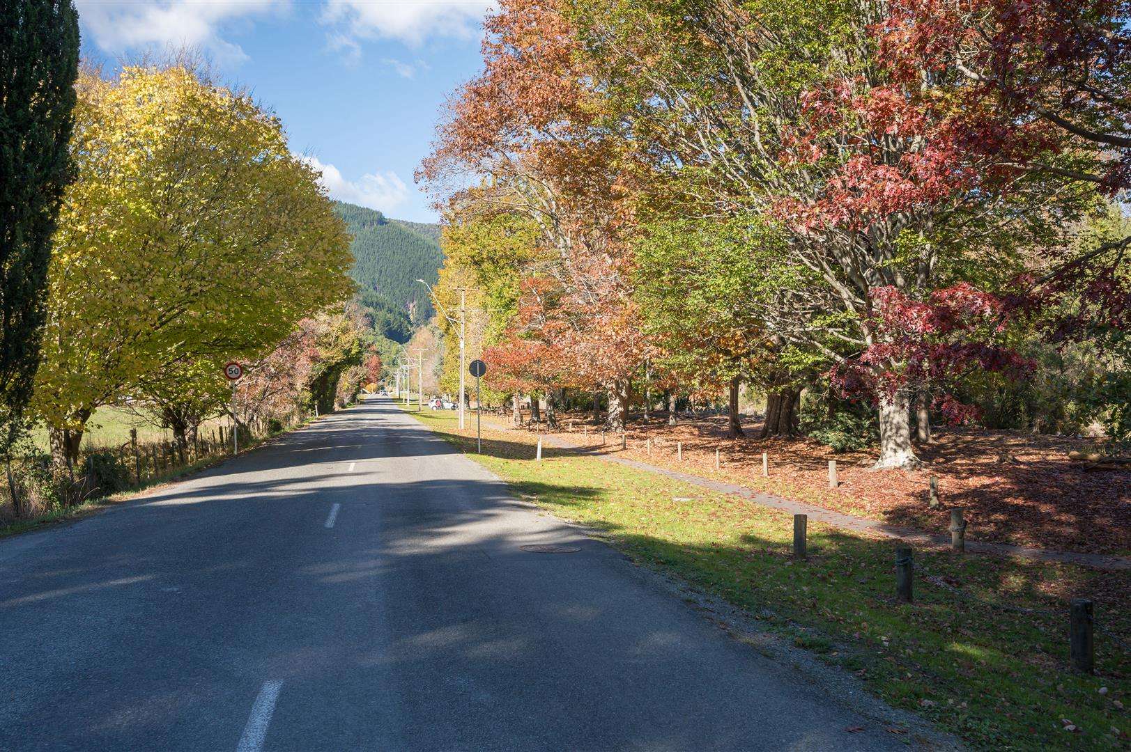 7 Appletree Way Stoke Nelson Houses for Sale One Roof