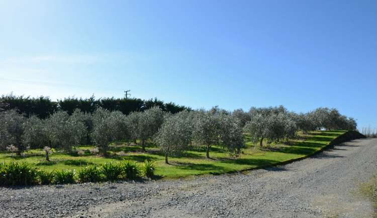 20 Shooting Butts Road Martinborough_19