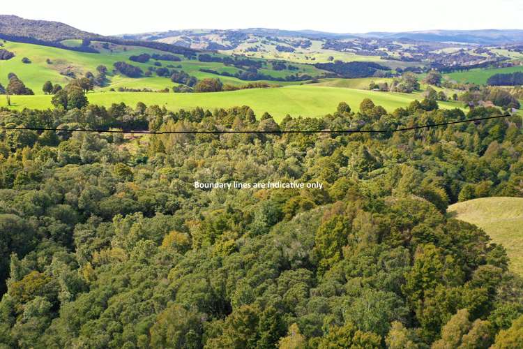 Lot 1 Katui Road Dargaville Surrounds_11