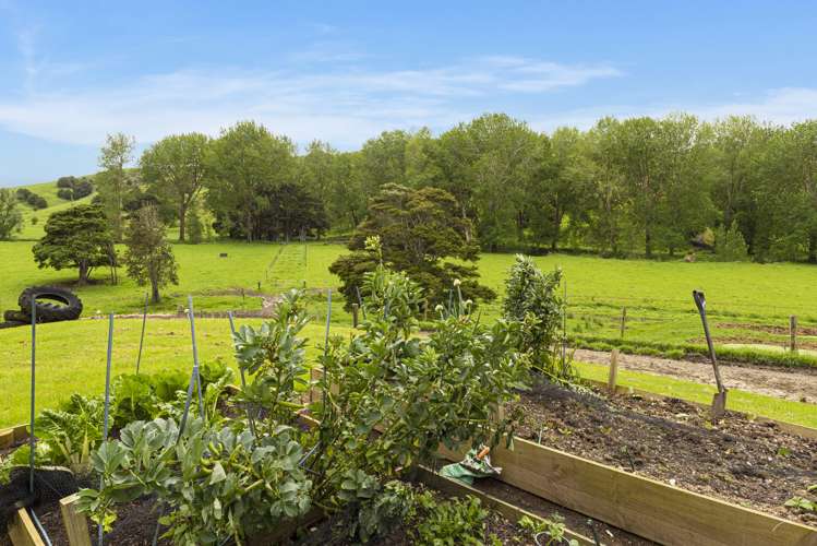 1371 Waihue Road Dargaville Surrounds_21