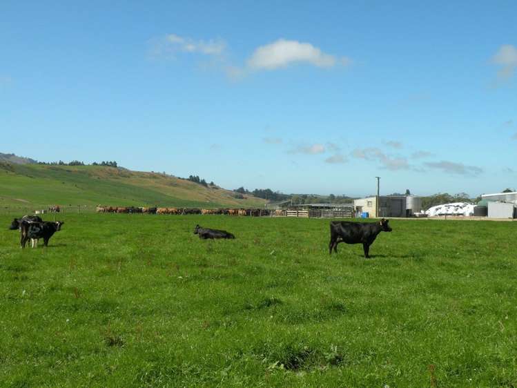 432 Flag Swamp Road Flag Swamp_0