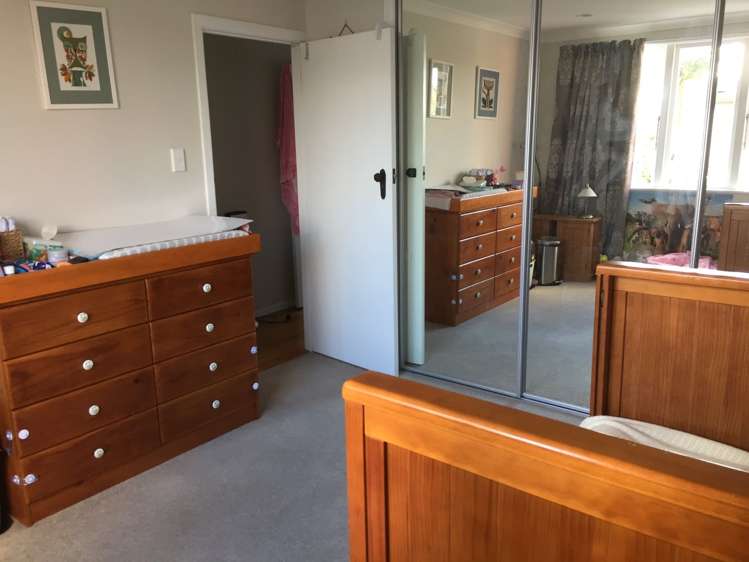 34 Arran Street Avondale_8