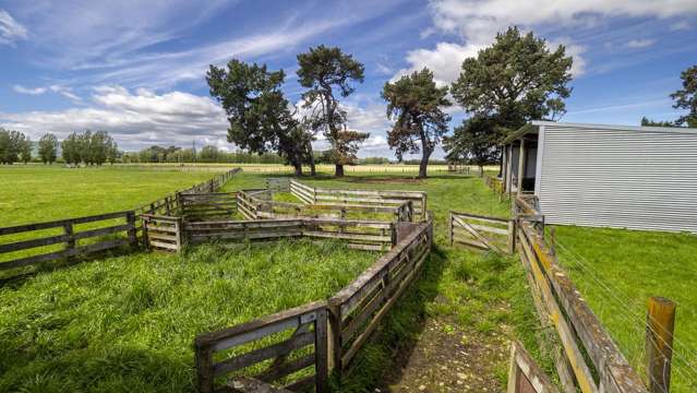 1007 State Highway 2 Masterton_4