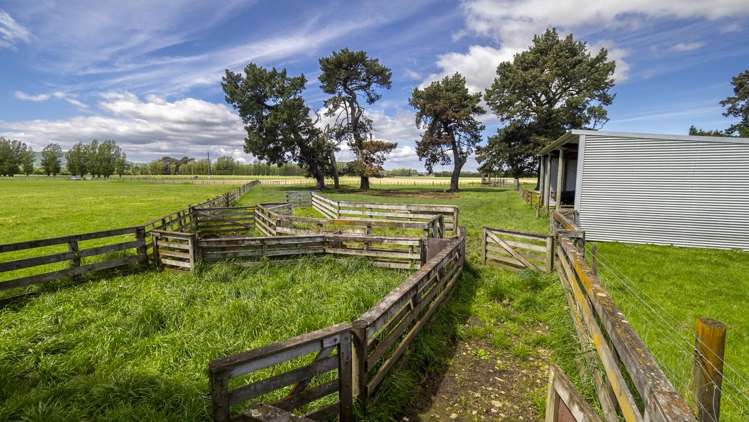 1007 State Highway 2 Masterton_4