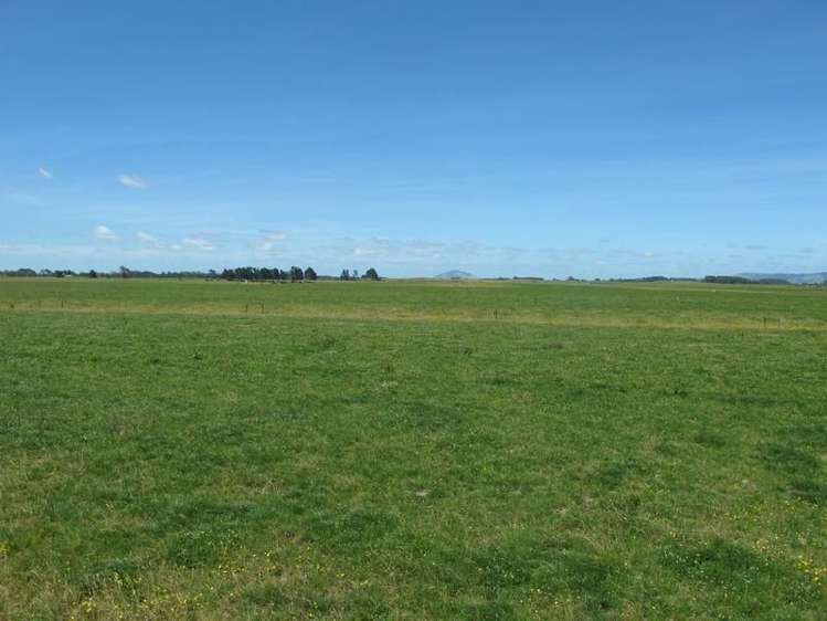 2/795 Tuhikaramea Road Ngahinapouri_17