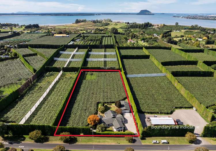 13 James Road Te Puna_1