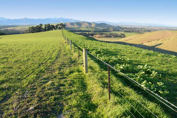 207 Christians Road Hawarden_2