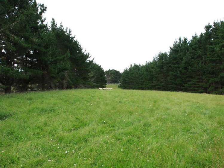 4349 Highway Pepepe_5