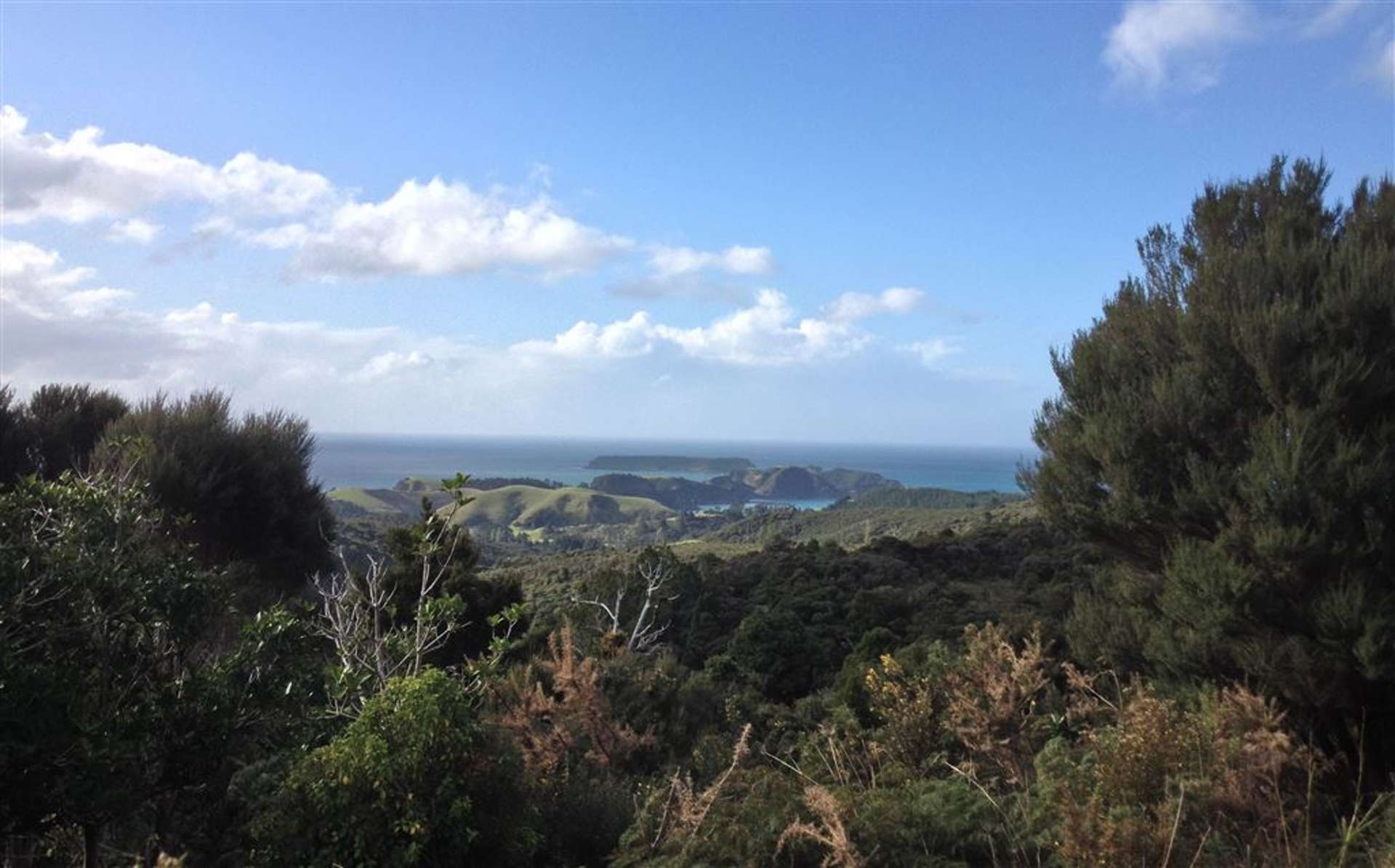 Wainui Road Whangaroa_0