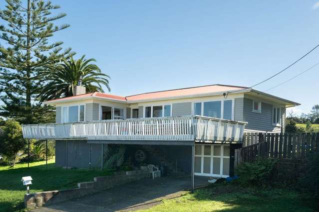 Another Gem in Hikurangi