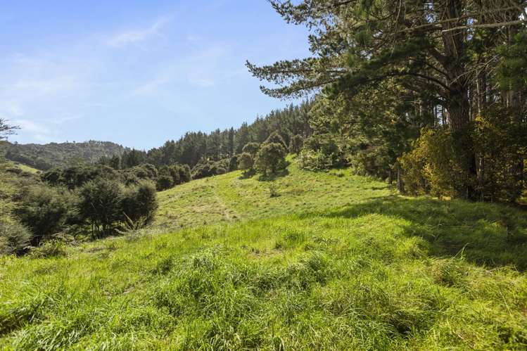 61 Spikes Way Whitianga_26