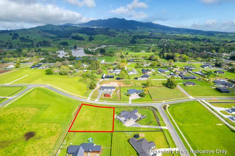 895 Collinson Street Pirongia_8