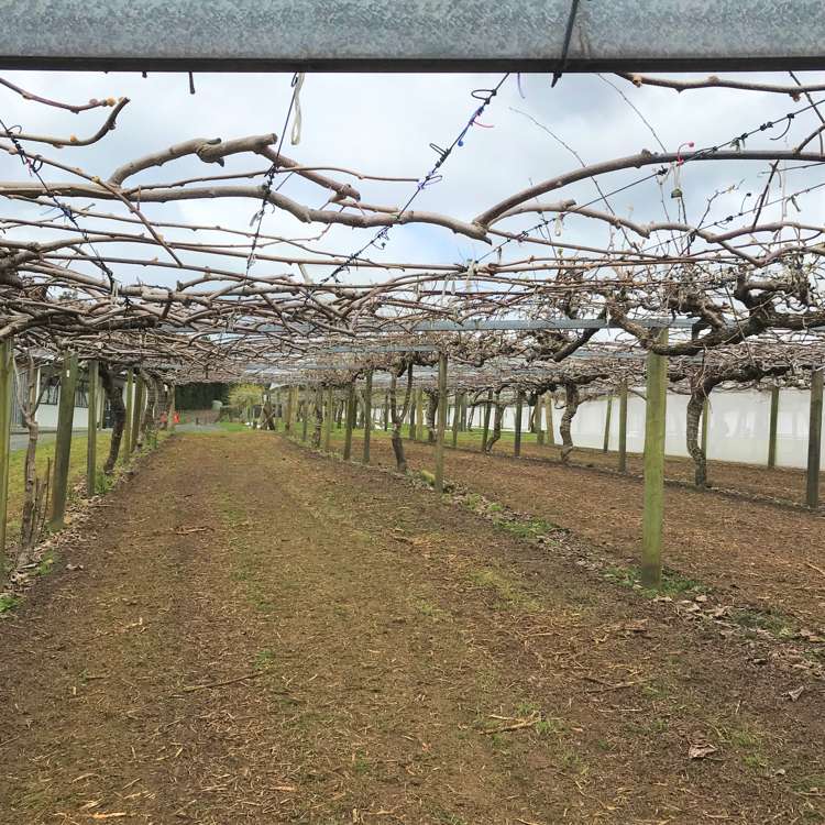 162 Waimea Drive Te Puke_7