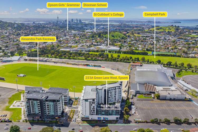 119/223A Greenlane West 1662_13