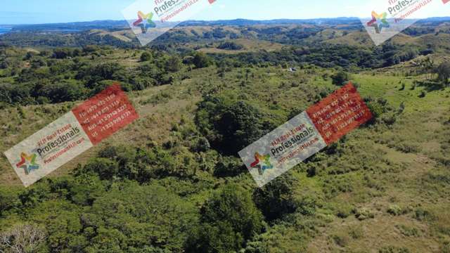 Address withheld Sigatoka_3
