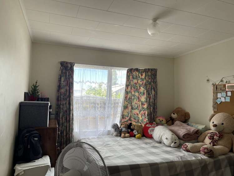 251 Westminster Avenue Tamatea_5