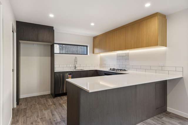 58a Elizabeth Street Victoria_4