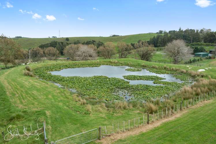 207 Doctors Hill Road Maungaturoto_41