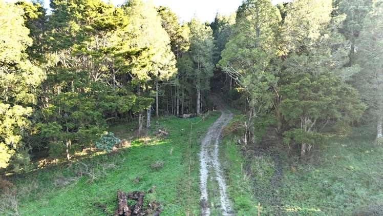 Parker Road Wellsford_10
