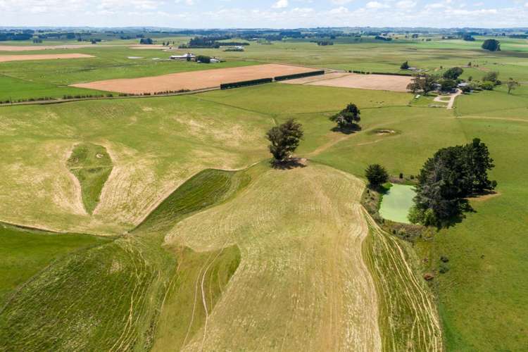 1397 Makino Road Halcombe_14