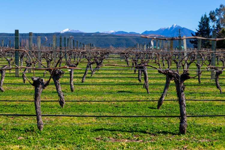 97 Shandon Road Waihopai Valley_10