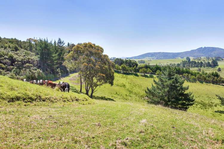 81 Blue Horizon Road Whangarei Heads_2