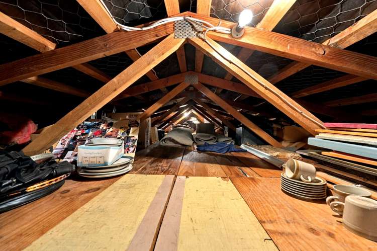 31A Haig Avenue Mt Roskill_16
