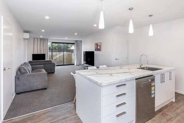 4/38 Wildberry Street Woolston_1