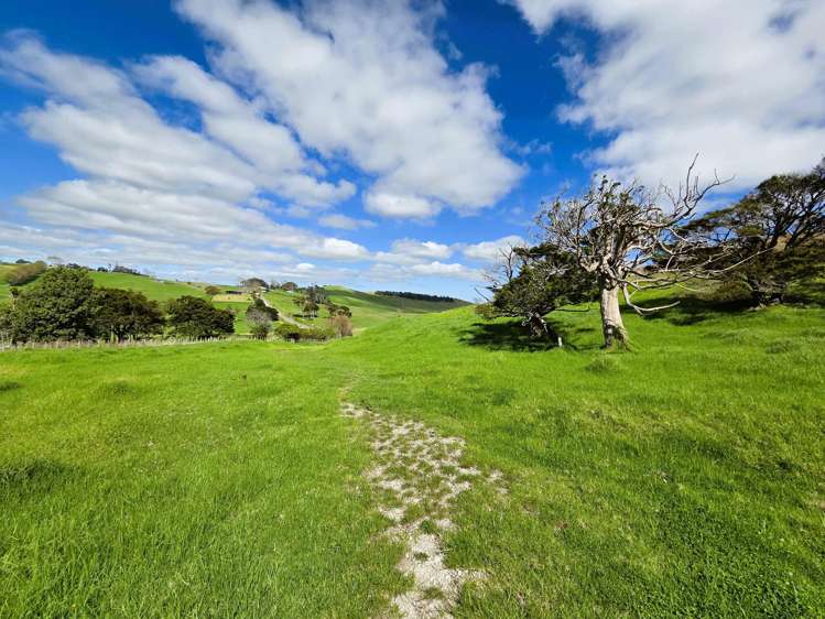 Morrison Road Dargaville_9