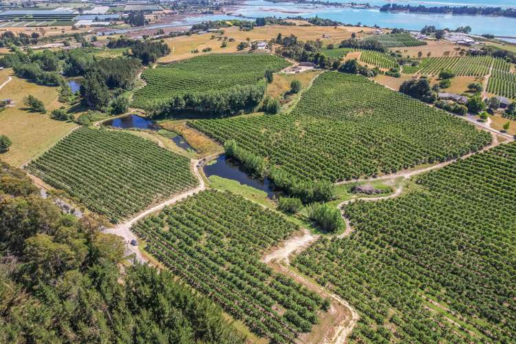 5 Lindup Road Lower Moutere_3