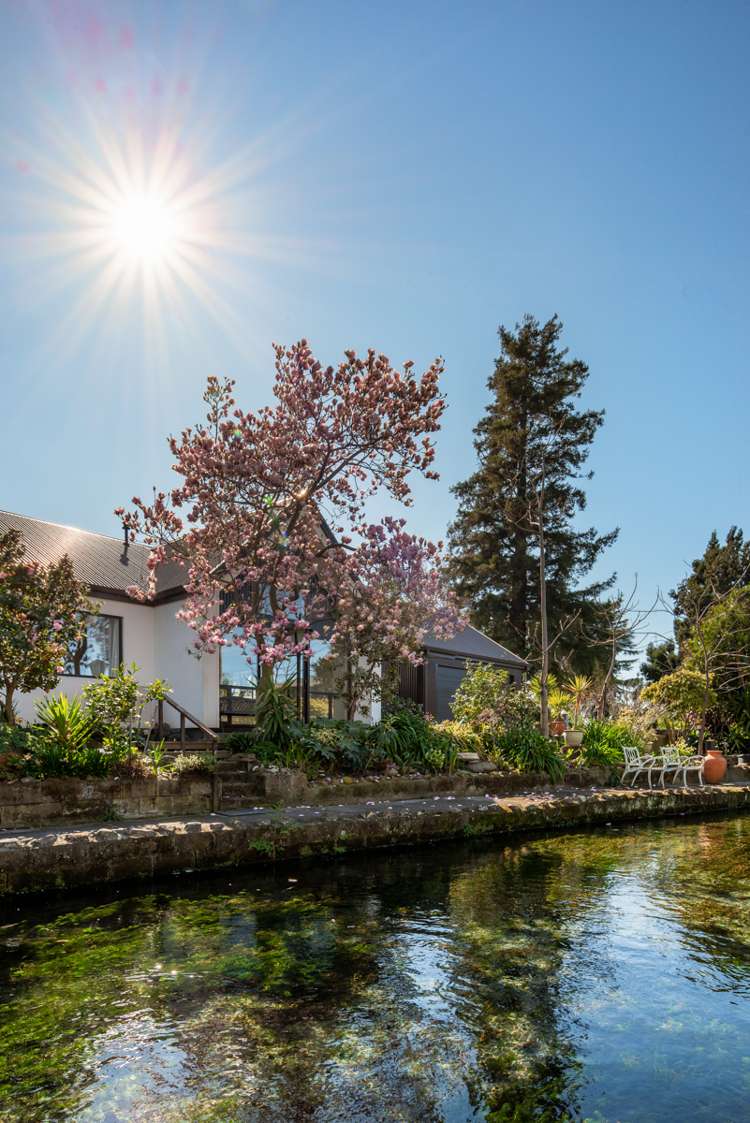 2 Battys Road Springlands_17