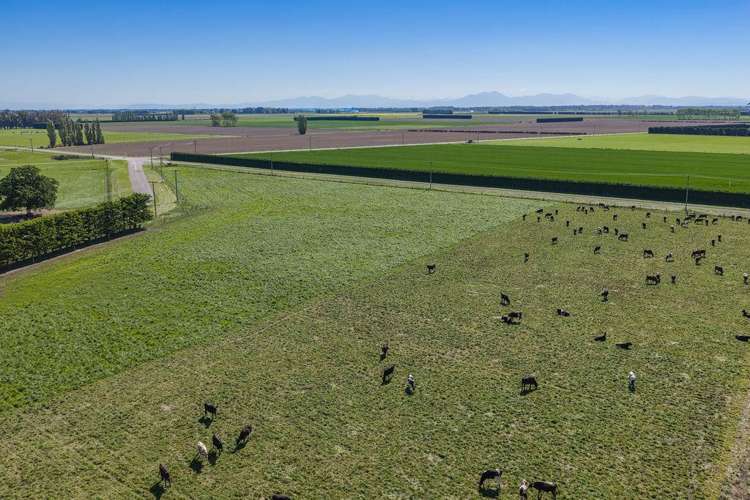 32 Ashton Road Ashburton_15