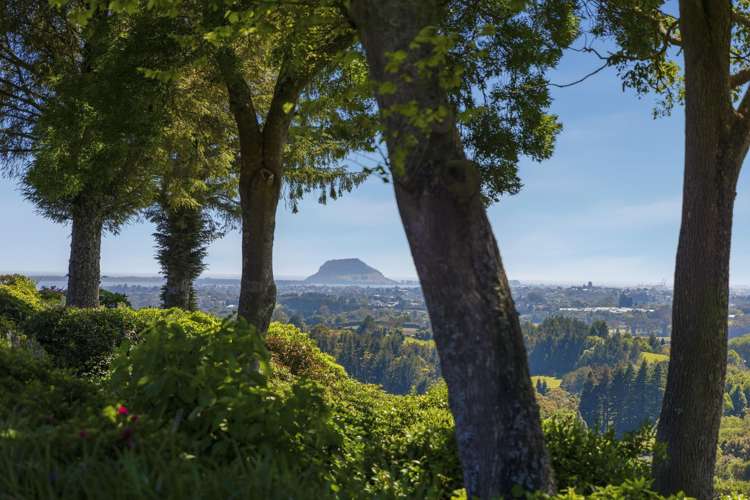 179B Crawford Road Te Puna_16