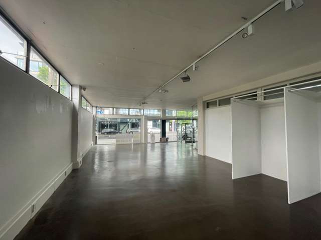 196 Great North Road Grey Lynn_3