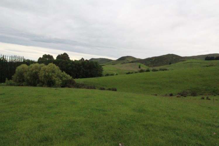 72 Bush Street Lumsden_17