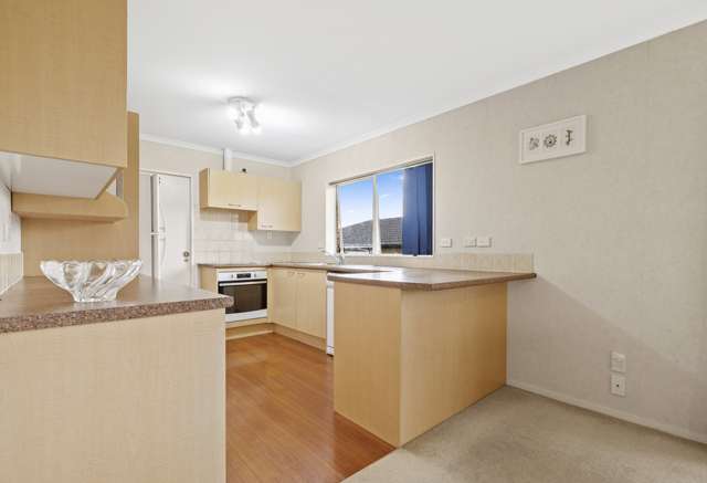 46 Nuneaton Drive Flat Bush_4