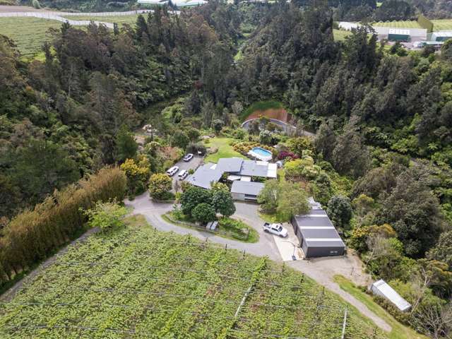 121A No 4 Road Te Puke_3