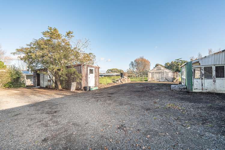 1 Buxton Road Westmere_16