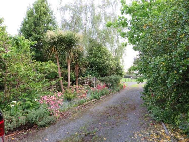 39 Brandon Hall Road Bulls_26