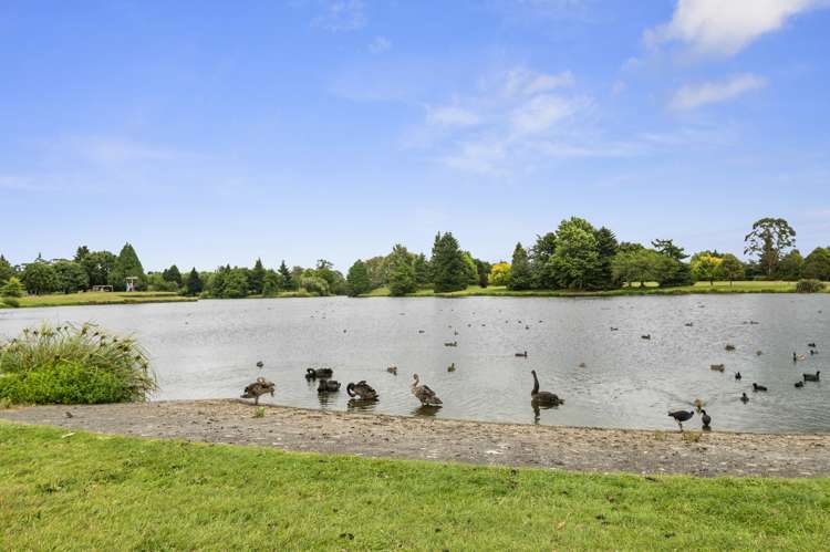 13 Pukeko Place Tokoroa_20