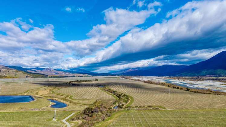 4816 State Highway 63 Wairau Valley_5