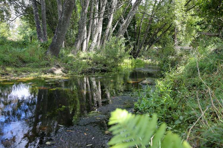 538 Waiwhero Road Ngatimoti_30