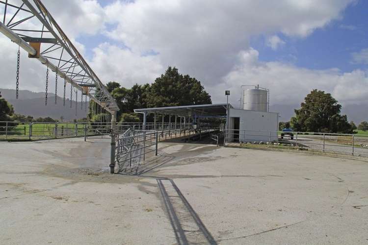 Waiho Flat Road Franz Josef Glacier_7