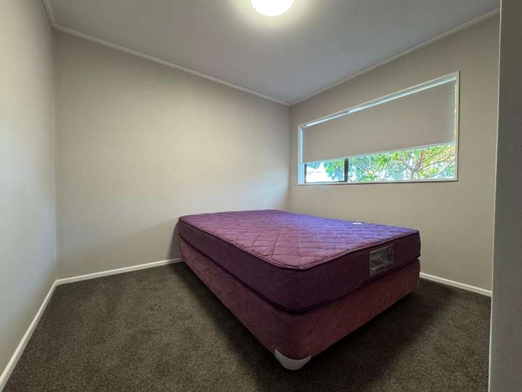  2/145 Tukapa Street Westown_5